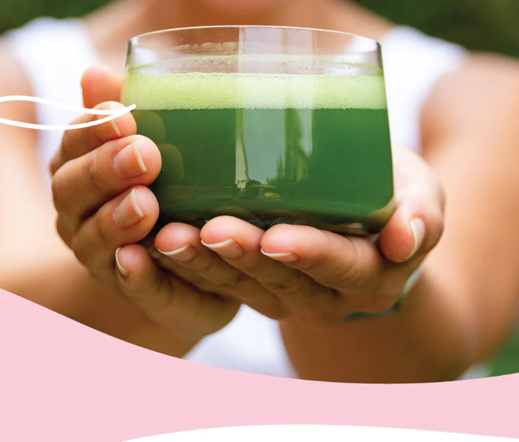 Matcha Bloom