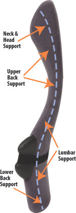 Spinal Orthotic/Auto Support